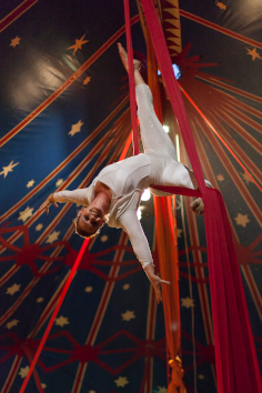 Silks in the Big top - Lisa Truscott