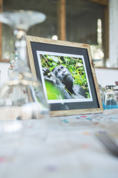 Animal photo table settings for a wedding